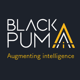 Logo of The Black Puma